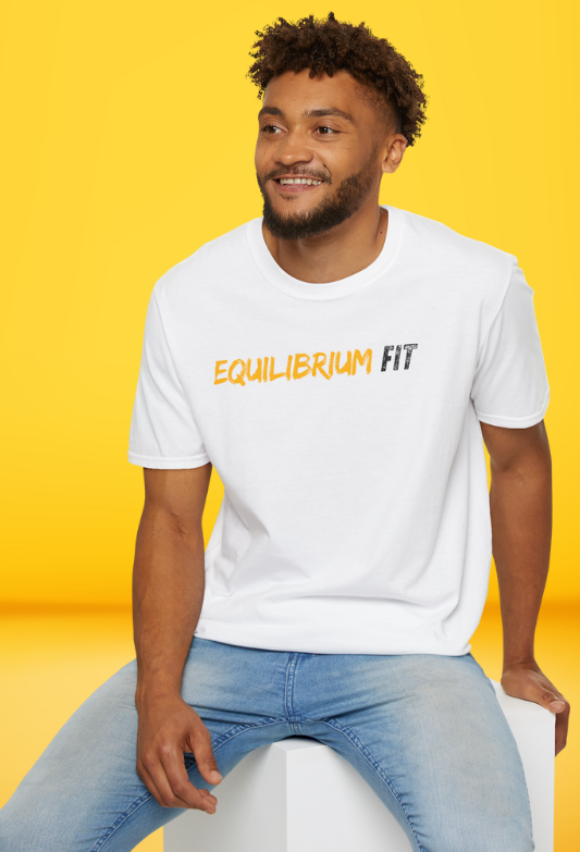 Equilibrium Fit